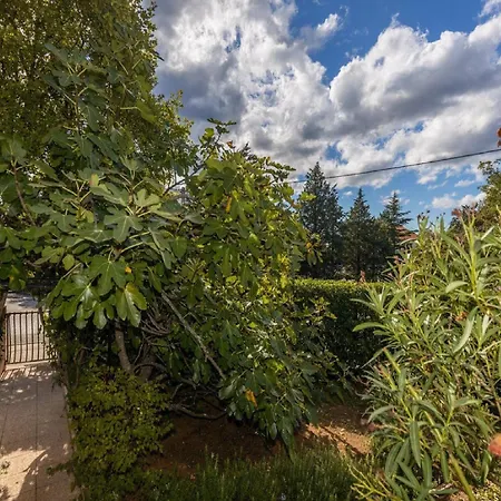 Ilija Njavro - Apartament *